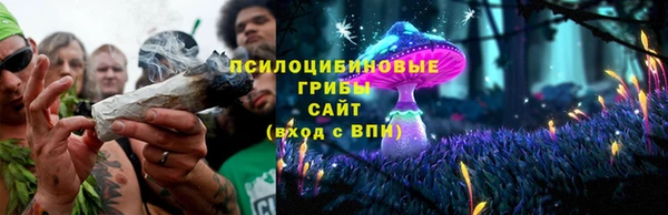 а пвп мука Алзамай